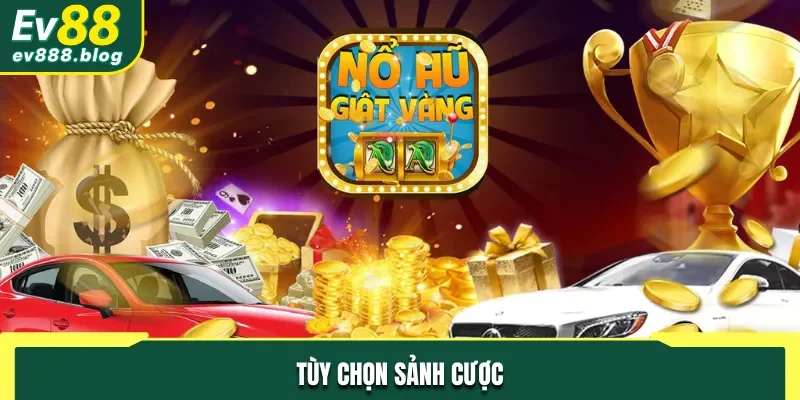 Bạn tùy chọn sảnh game để kiếm thưởng