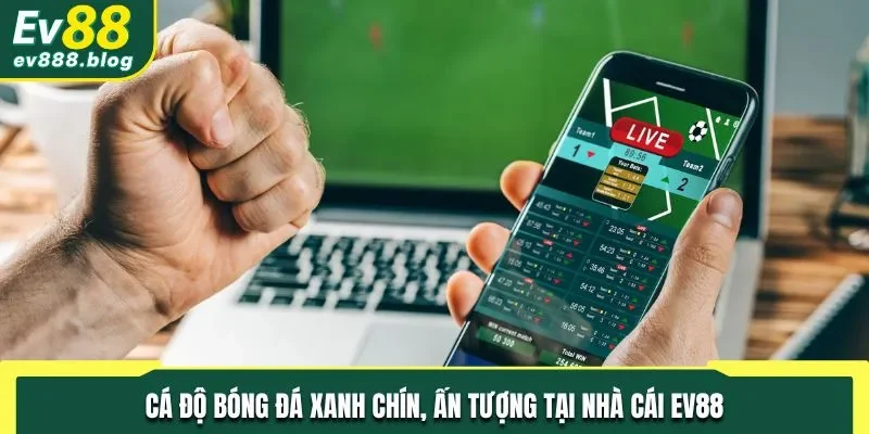 Cá độ bóng đá