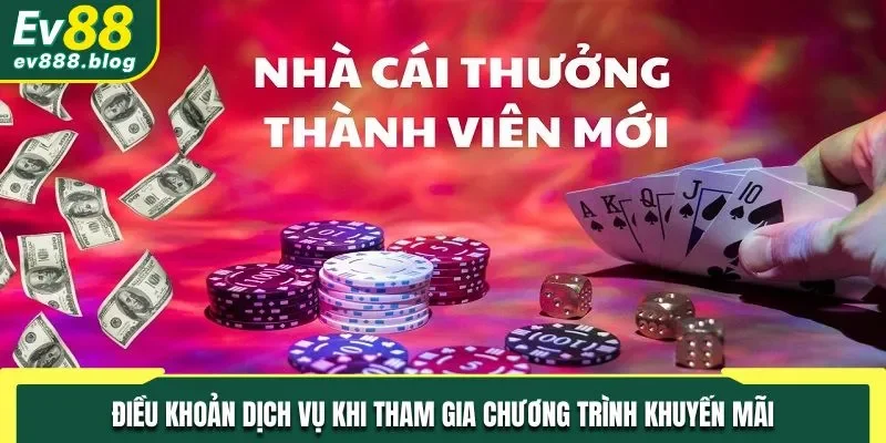 Điều khoản dịch vụ khi tham gia chương trình khuyến mãi