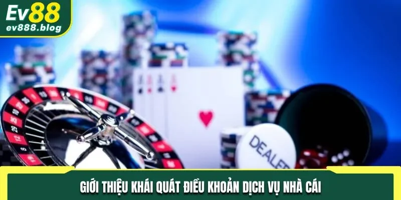 Giới thiệu khái quát điều khoản dịch vụ nhà cái