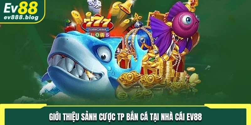 Cùng tìm hiểu về sảnh bắn cá trực tuyến đến từ thương hiệu TP