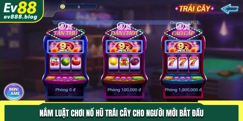 Nắm luật chơi Nổ Hũ Trái Cây cho người mới bắt đầu