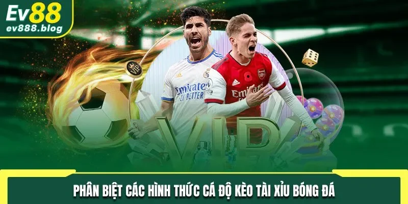 Phân biệt các hình thức cá độ kèo tài xỉu trong bóng đá