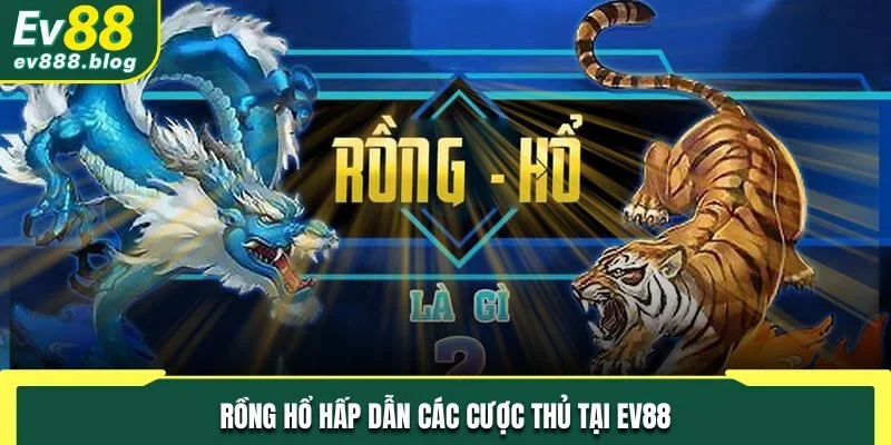 Dragon Tiger hấp dẫn các cược thủ tại EV88