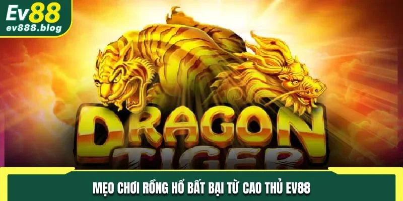 Mẹo chơi Rồng Hổ bất bại từ cao thủ EV88