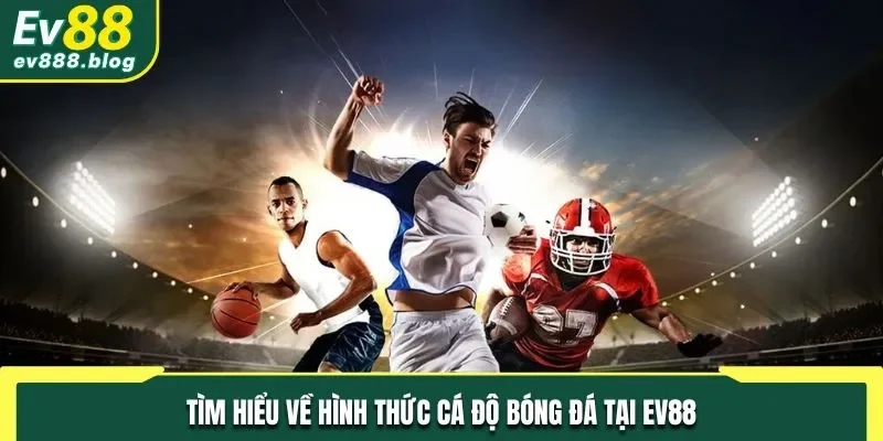 Tìm hiểu về hình thức cá độ bóng đá tại EV88